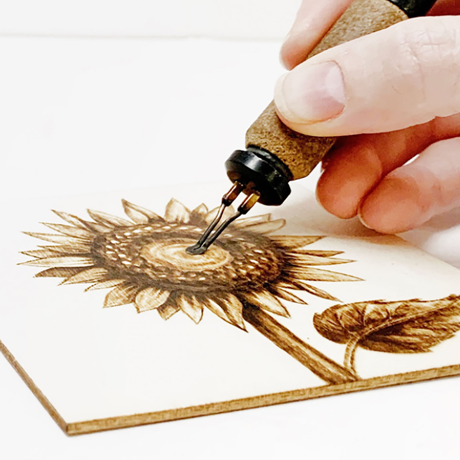Pyrography in Progress Pic