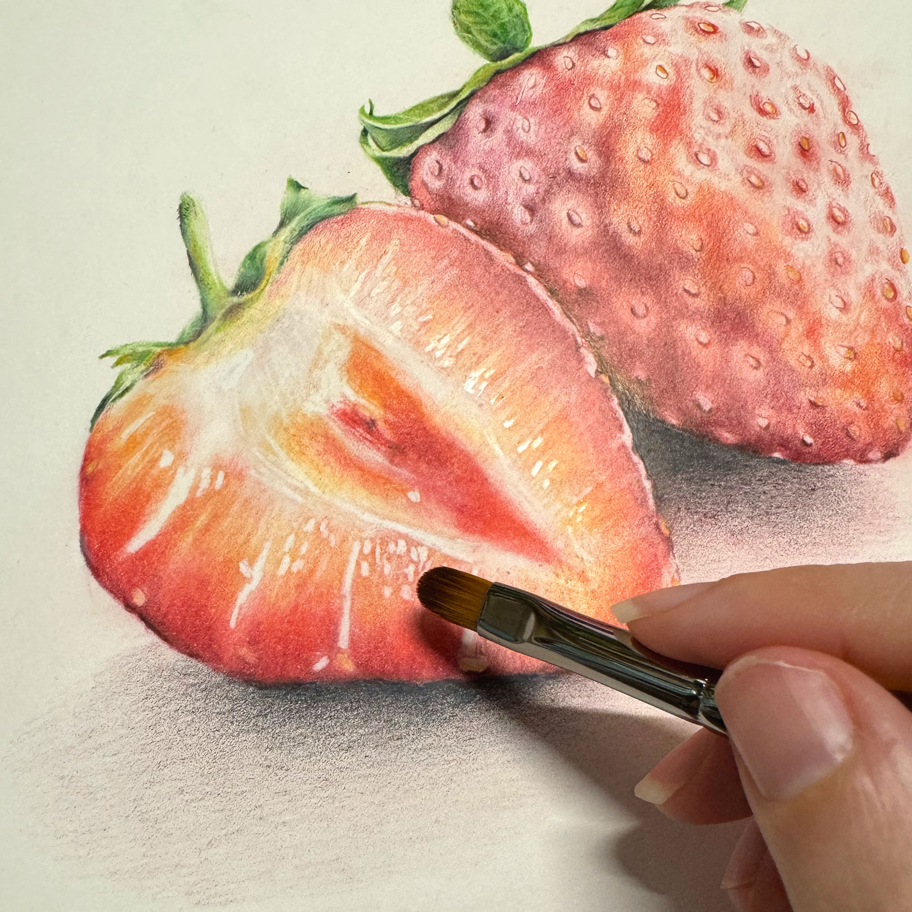 Colored Pencil with Watercolor Strawberries Art by Tif Farmakis-Day