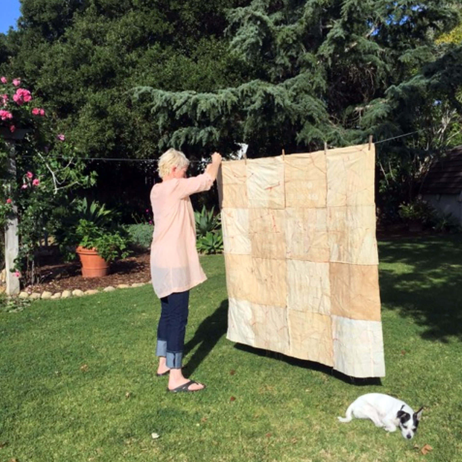 Molly Meng Hanging Fiber Art