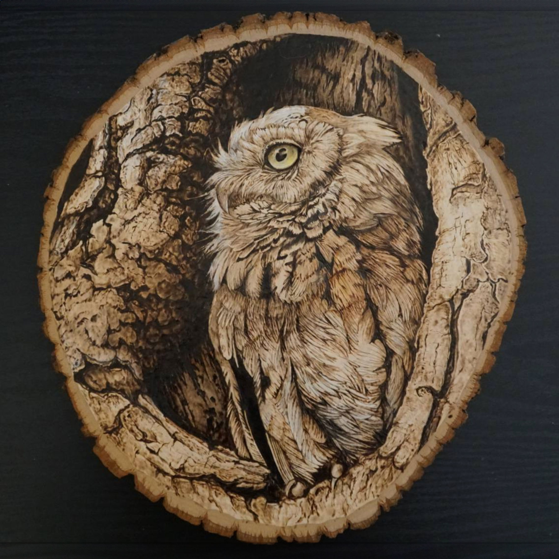 Owl Pyrography by Sara Desjardins