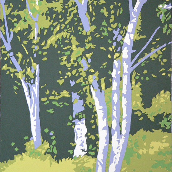 Birch Grive by Bill Mitchell